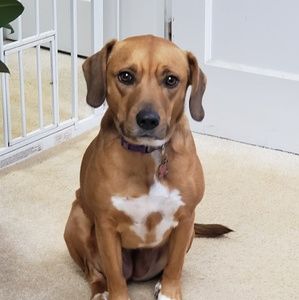 Meet your Posher, Larry